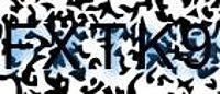 grafischer Sicherheitscode