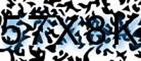 grafischer Sicherheitscode