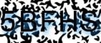grafischer Sicherheitscode
