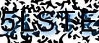 grafischer Sicherheitscode