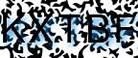 grafischer Sicherheitscode