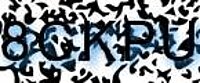 grafischer Sicherheitscode