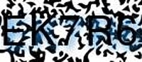 grafischer Sicherheitscode