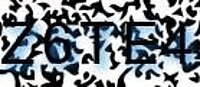grafischer Sicherheitscode