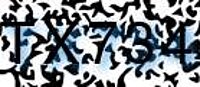 grafischer Sicherheitscode
