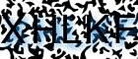 grafischer Sicherheitscode
