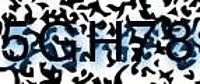 grafischer Sicherheitscode
